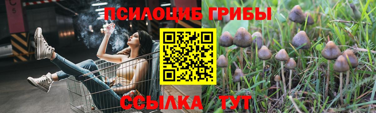 Оренбург  Галлюциногенные грибы Cubensis  Вход с VPN  Псилоцибиновые грибы мицелий 