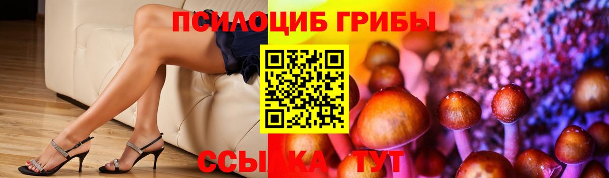 Галлюциногенные грибы Psilocybe Оренбург